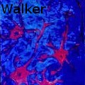 LoisVWalker