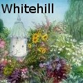 MEWhitehill